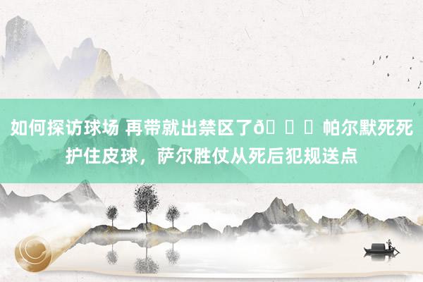 如何探访球场 再带就出禁区了😂帕尔默死死护住皮球，萨尔胜仗从死后犯规送点