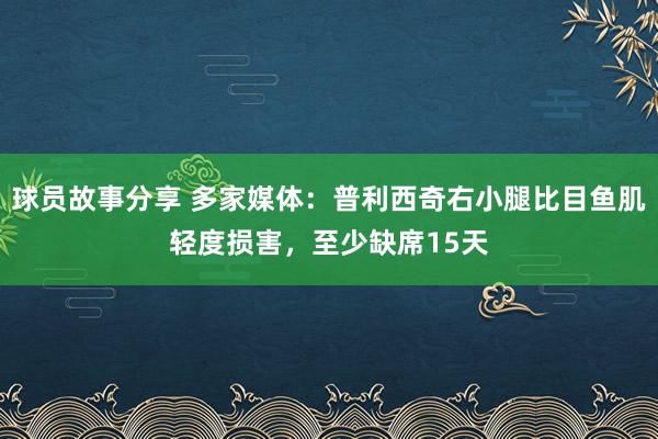 球员故事分享 多家媒体：普利西奇右小腿比目鱼肌轻度损害，至少缺席15天