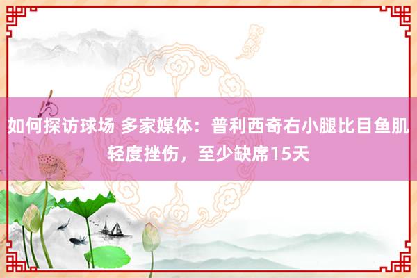 如何探访球场 多家媒体：普利西奇右小腿比目鱼肌轻度挫伤，至少缺席15天