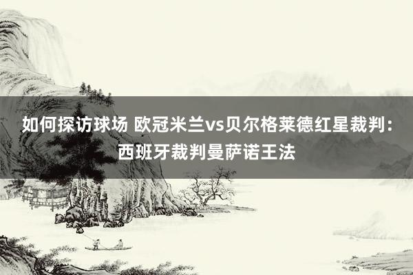 如何探访球场 欧冠米兰vs贝尔格莱德红星裁判：西班牙裁判曼萨诺王法