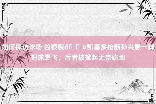 如何探访球场 凶狠貌😤凯塞多抢断孙兴慜一脚把球踢飞，后者被掀起无奈跪地