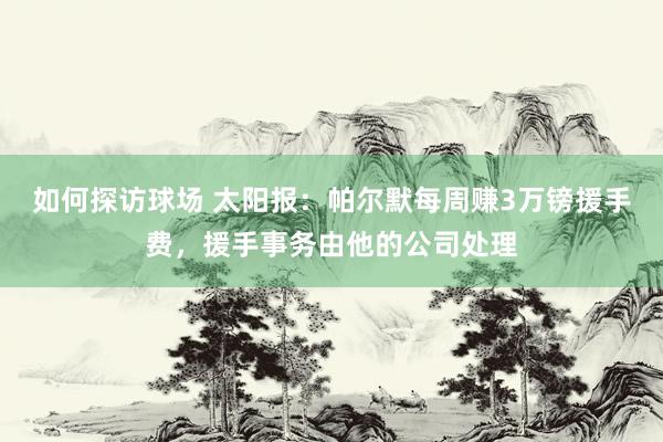 如何探访球场 太阳报：帕尔默每周赚3万镑援手费，援手事务由他的公司处理