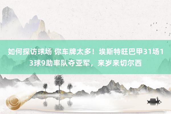 如何探访球场 你车牌太多！埃斯特旺巴甲31场13球9助率队夺亚军，来岁来切尔西