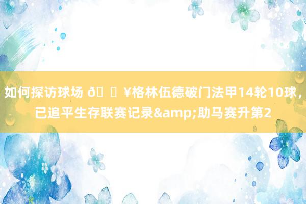 如何探访球场 💥格林伍德破门法甲14轮10球，已追平生存联赛记录&助马赛升第2