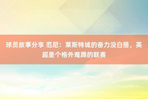 球员故事分享 范尼：莱斯特城的奋力没白搭，英超是个格外难踢的联赛