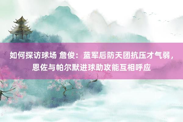 如何探访球场 詹俊：蓝军后防天团抗压才气弱，恩佐与帕尔默进球助攻能互相呼应