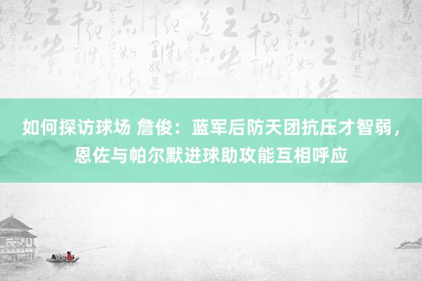 如何探访球场 詹俊：蓝军后防天团抗压才智弱，恩佐与帕尔默进球助攻能互相呼应