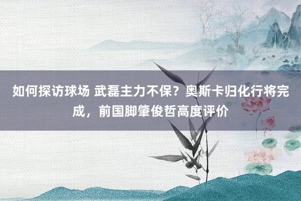 如何探访球场 武磊主力不保？奥斯卡归化行将完成，前国脚肇俊哲高度评价