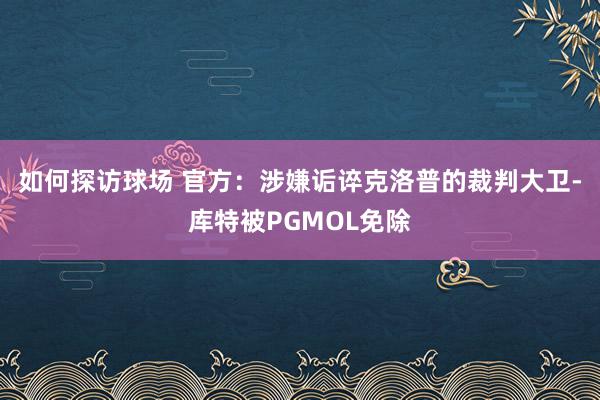 如何探访球场 官方：涉嫌诟谇克洛普的裁判大卫-库特被PGMOL免除